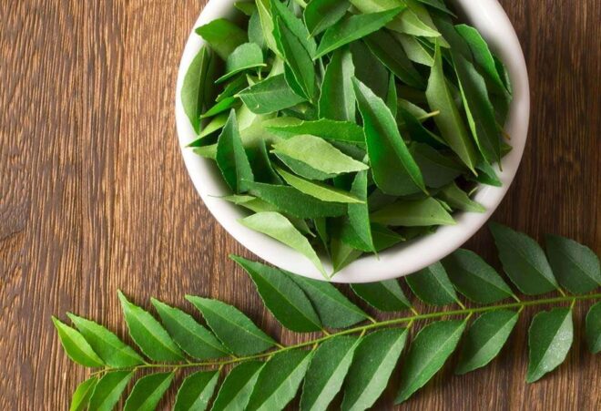health benefits of curry leaves