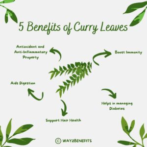 Benefits of Curry Leaves